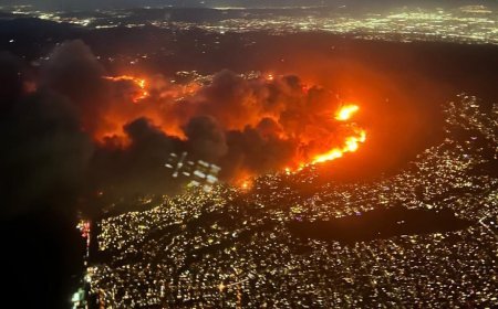 Unbelievable Video Captures LA Fire Engulfing Home