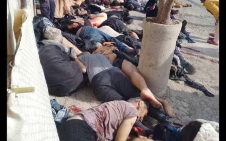 Escalating Violence in Syria: Reports of Orders for Summary Executions