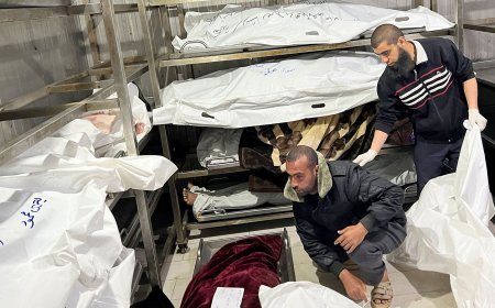 Israel continues bombing of Gaza, leaving at least 14 dead in recent hours