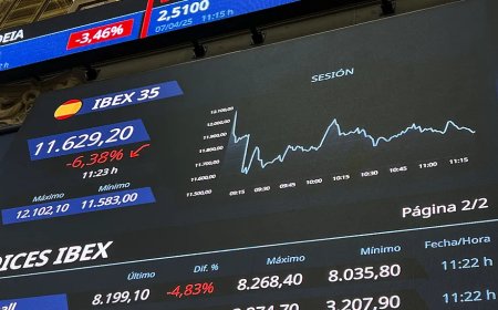 The Ibex collapses: loses more than €88 billion in three days, exceeding the aid requested from European funds