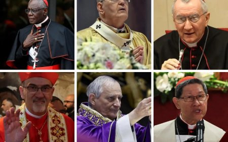 These are the cardinal favorites to become the new Pope, according to the betting odds