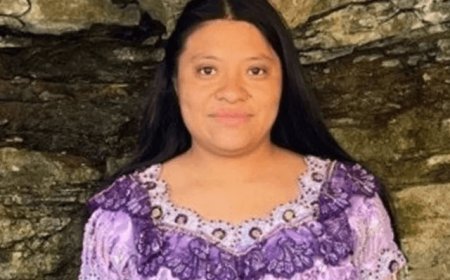 Tragédia nos EUA: faxineira é morta a tiros ao tentar limpar a casa errada — vizinhança em choque e polícia investiga dono do imóvel