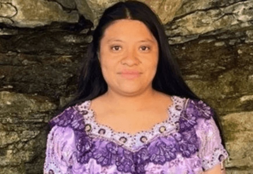 Tragédia nos EUA: faxineira é morta a tiros ao tentar limpar a casa errada — vizinhança em choque e polícia investiga dono do imóvel