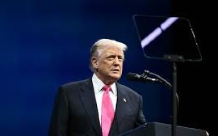 Trump deve anunciar governo provisório e Conselho de Paz para Gaza até o Natal, aponta relatório