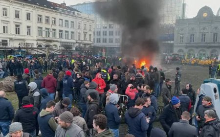 Agricultores europeus se rebelam contra acordo com a América do Sul e pressionam Bruxelas