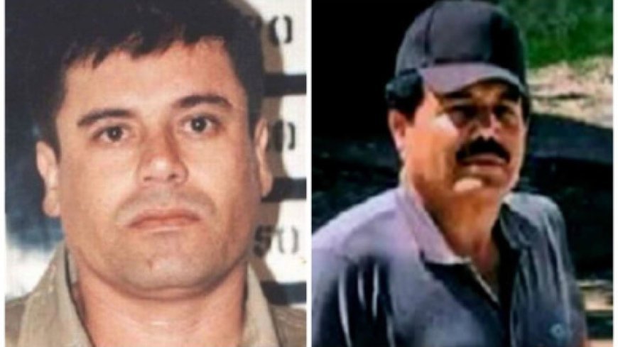 Filho de ‘El Chapo’ admite culpa nos EUA sobre Narcotráfico