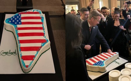 Congresso dos EUA vira palco de provocação internacional com bolo em forma da Groenlândia