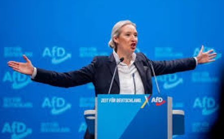 Ambições de Trump sobre a Groenlândia geram críticas inesperadas entre aliados europeus