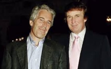 Revolta e indignação: vítimas de Epstein protestam após divulgação de documentos e denunciam impunidade