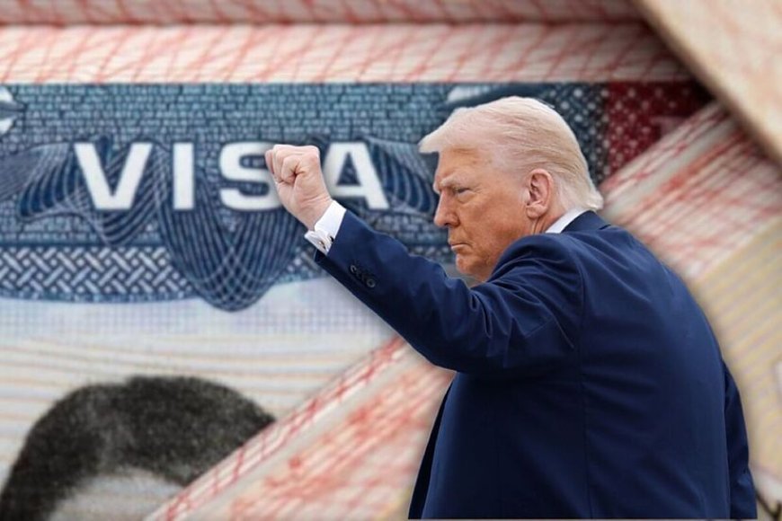 Trump orders visa freeze for 75 countries, including Brazil