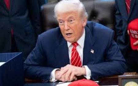 Ataque em Rede Nacional: Trump Humilha Repórter da CNN Após Pergunta Sobre Caso Epstein