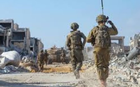 Noite de Fogo em Gaza: Bombardeios Deixam Mortos e Fecham Rota Vital de Socorro em Rafah