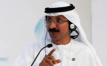 Ahmed Bin Sulayem resigns as CEO of Dubai port giant after controversy over Epstein ties