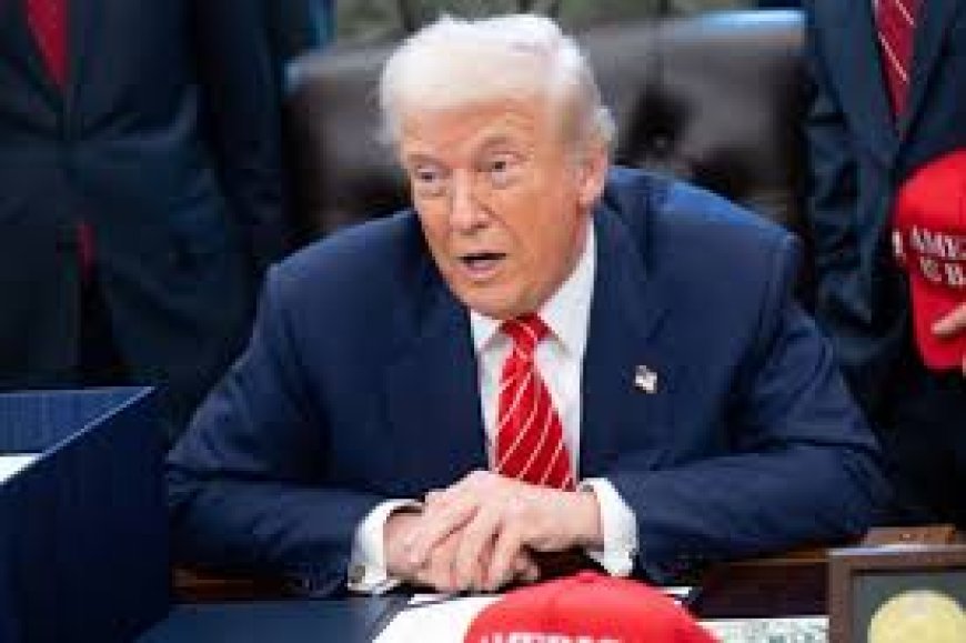 Ataque em Rede Nacional: Trump Humilha Repórter da CNN Após Pergunta Sobre Caso Epstein