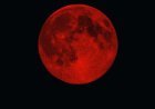 The partial lunar eclipse in pictures: almost 96% of the disk was in shadow