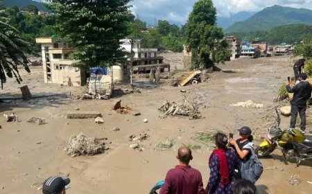 Simulation of the Nepal Disaster: Himalayan Glacier Collapses, Blocks Lhende Khola, and Releases a Wave of Mud That Sweeps Everything in its Path