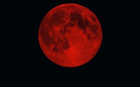 The partial lunar eclipse in pictures: almost 96% of the disk was in shadow